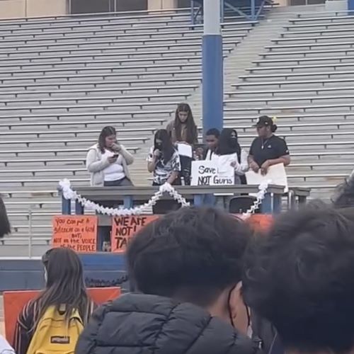 Molina Essay Image 1